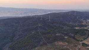 Tekirdağ ve Gelibolu yangını kontrol altında, Balıkesir’de yeni yangın başladı