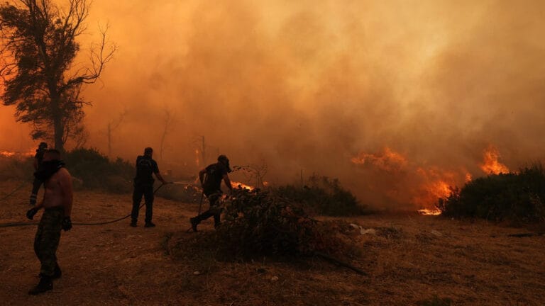 Yunanistan ve Bulgaristan’da orman yangınları: Alevler Türkiye sınırına ulaştı