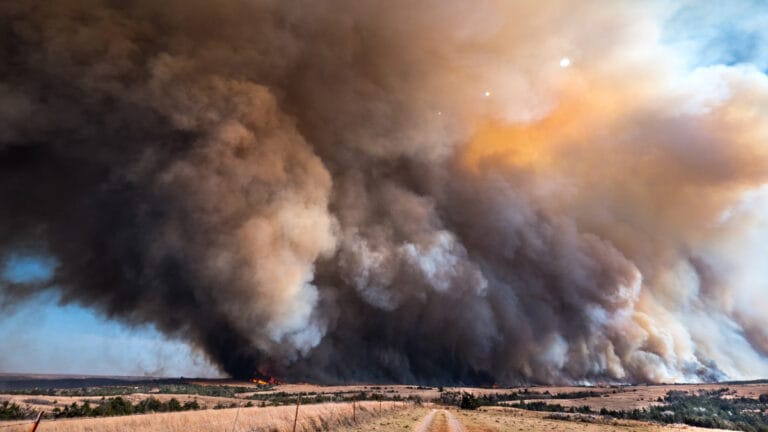 Avrupa’da orman yangını emisyonları rekor kırdı: Sıcaklık ve kuraklık yangınları körükledi