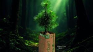 Bambum’dan 81 ilde fidan seferberliği