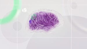 Sıcak kafa! Küresel ısınma çağı: Aşırı sıcaklar beynimizi nasıl etkiliyor?