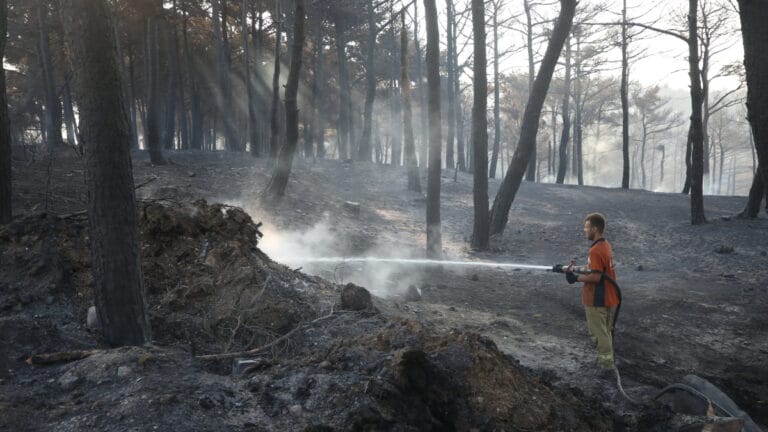 Çanakkale merkez ve Bayramiç’teki yangınlar büyük ölçüde kontrol altına alındı