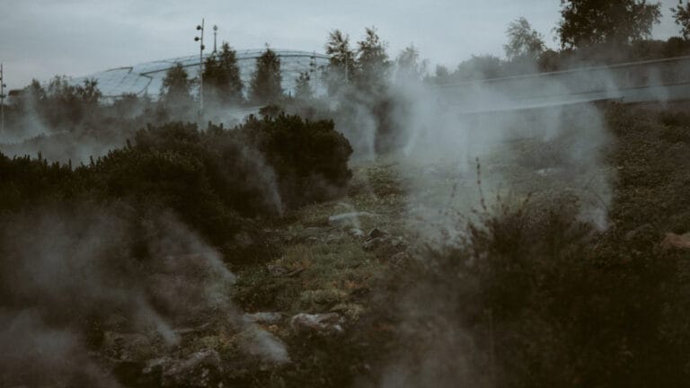 Orman yangını dumanı sanılandan çok daha tehlikeli: Ölümler %93 oranında yanlış tahmin ediliyor