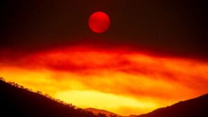 California’daki Gifford yangını büyüyor: En az 4 yaralı, on binlerce dönüm arazi kül oldu