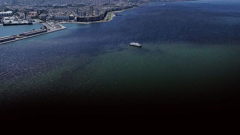 İzmir Körfezi’nde balık ölümleri yeniden başladı