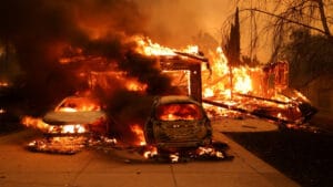 Los Angeles yangınları, 440 kişinin ölümüne yol açtı