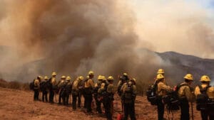 California’daki yangınlarda 330 kilometrekareden fazla alan kül oldu