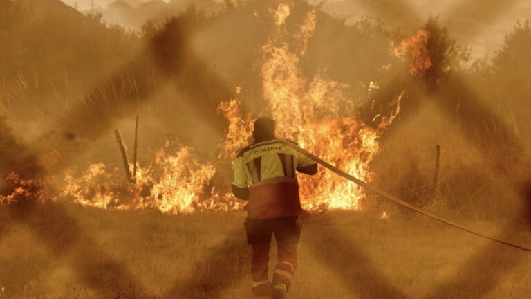 İspanya, orman yangını felaketiyle boğuşuyor: Başbakan Sanchez’den iklim krizi vurgusu