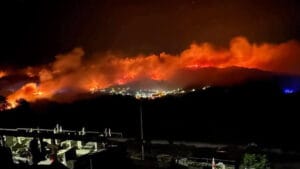 Portekiz’de bu yıl yanan alanlar 2024’tekinden 3 kat daha fazla