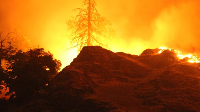 AB ülkelerinde son 2 haftada bu yılın toplamından daha fazla ormanlık alan yandı
