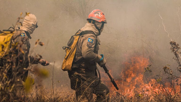 Avrupa Birliği’nde orman yangınları rekor kırdı: 1 milyon hektardan fazla alan kül oldu