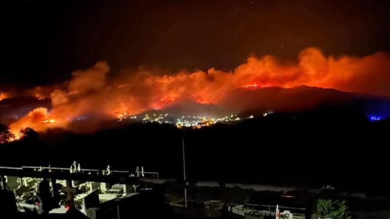 Portekiz’de bu yıl yanan alanlar 2024’tekinden 3 kat daha fazla