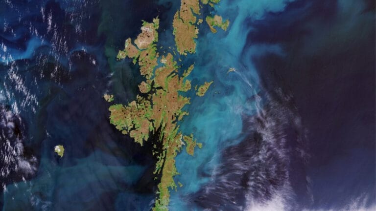 Bilim insanları okyanustaki gizemli parıltının sırrını çözdü