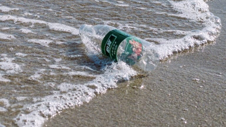 Küresel plastik anlaşması petrol devletlerinin engeline mi takıldı?