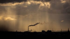 Orman Genel Müdürlüğü, iklim değişikliği ile mücadele için 5 yıllık yol haritası hazırladı