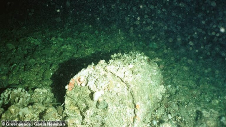 Atlantik Okyanusu’nun derinliklerinde gizlenen saatli bomba! 200 bin radyoaktif atık varil bulunuyor