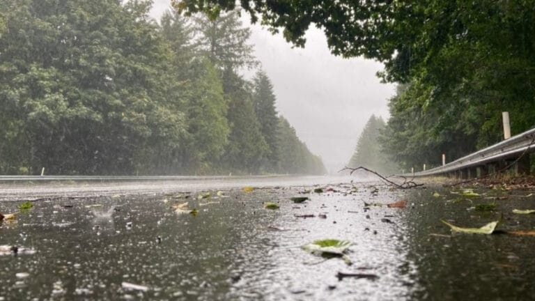 Meteoroloji’den bu iller için yağmur uyarısı!