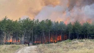 Antalya’da 2025 yılında 540 hektardan fazla ormanlık alan yandı