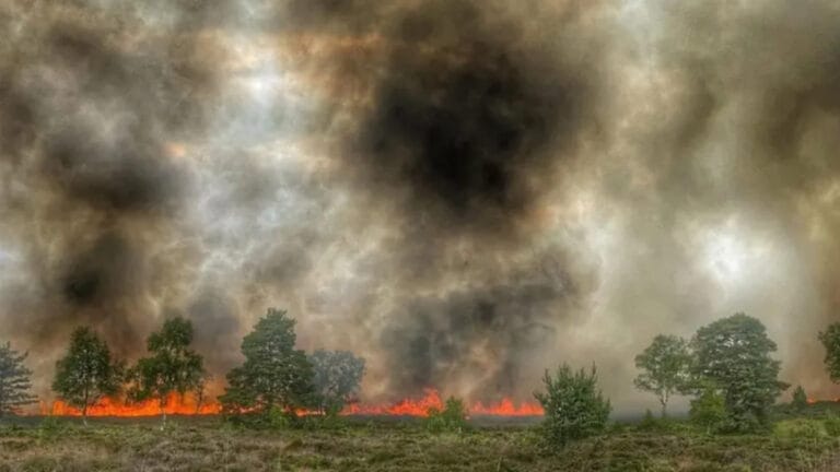 İngiltere’de askeri tatbikatlar yüzlerce orman yangınına yol açtı