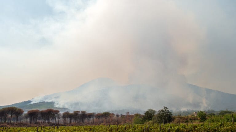 Vezüv Yanardağı’ndaki yangınlar, Fransa’daki felaketin ardından devam ediyor