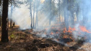 Güney Avrupa, ölümcül sıcak hava dalgasıyla kavruluyor: Bilim insanları “molotof kokteyli” uyarısı yaptı