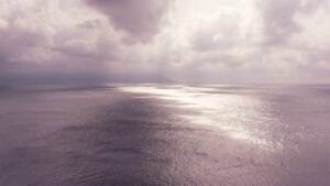 Okyanusun kalbi durdu: Panama Körfezi’nde 40 yıllık bir doğa döngüsü ilk kez gerçekleşmedi