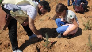 Yangın sonrası yaralar nasıl sarılır? Uzmanlardan ağaçlandırma konusunda kritik uyarı