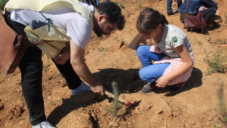 Yangın sonrası yaralar nasıl sarılır? Uzmanlardan ağaçlandırma konusunda kritik uyarı