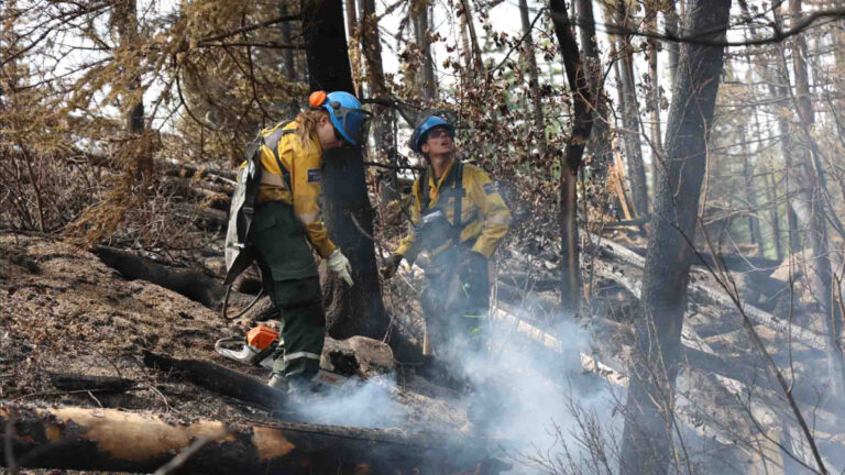 Jasper yangını: Kanada’dan Türkiye’ye orman mücadelesi dersleri