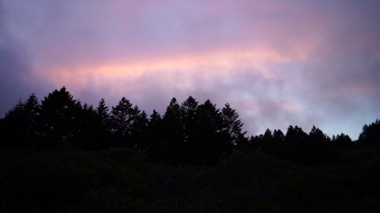 Orman yangınları sadece ağaçları değil, havanın kalitesini de yok ediyor