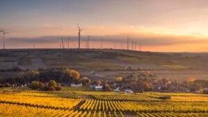 ABD yenilenebilir enerji rekorları kırmaya devam ediyor