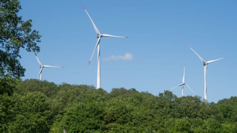 Avrupa rüzgar enerjisi yükselişte: Türkiye en fazla kurulum yapan dördüncü ülke oldu