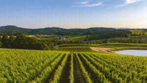 Dünya tarım arazileri geri dönüşüme uğruyor: Gezegen için umut veren bir değişim mi?