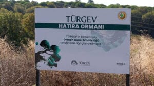 TÜRGEV’in beş yılda 20 bin 615 fidanla yeşerttiği ‘Hatıra Ormanı’ geleceğe umut olacak