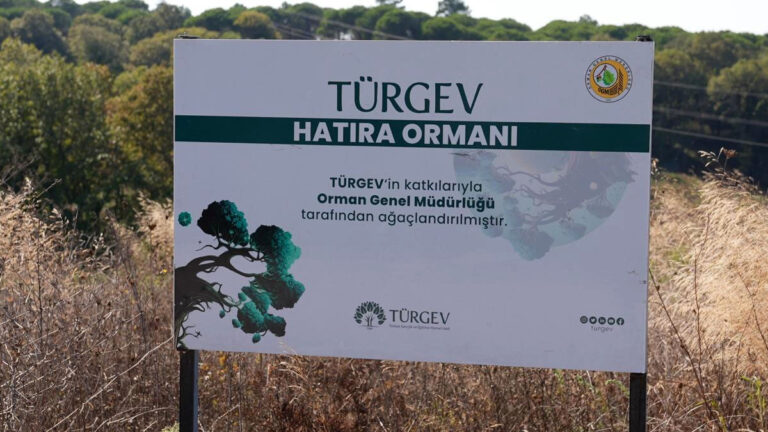 TÜRGEV’in beş yılda 20 bin 615 fidanla yeşerttiği ‘Hatıra Ormanı’ geleceğe umut olacak