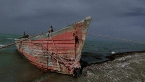 “Enerji denizi” Hazar alarm veriyor: Su seviyesi 2 metre düştü, biyoçeşitlilik “kayıp dünya” olma tehlikesiyle karşı karşıya