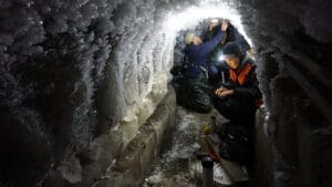 40.000 yıllık uyku sonu: Arktika buzundaki antik mikroplar serbest bırakıldı