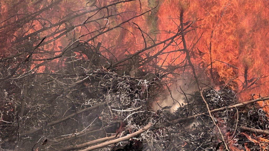 Ashes Sitoula / Unsplash