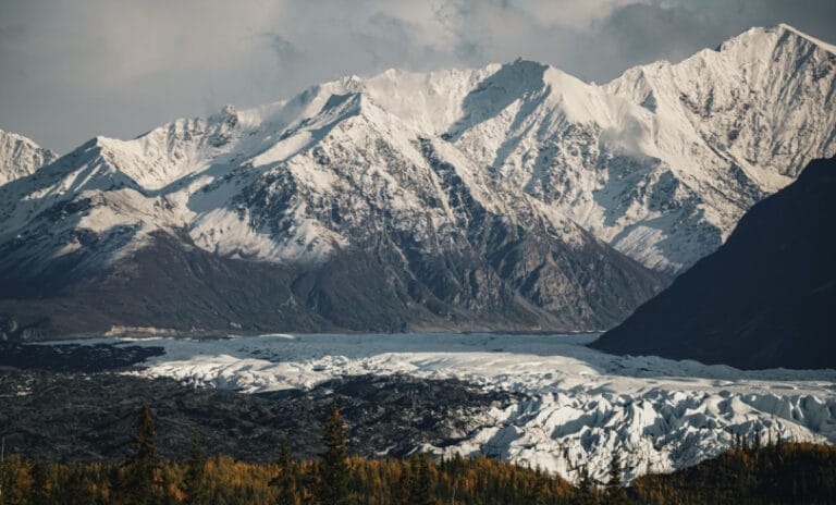 Trump yönetimi, el değmemiş Alaska yaban hayatı sığınağını petrol ve gaz sondajına açma planını kesinleştirdi