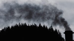 Dünya Meteoroloji Örgütü: Atmosferdeki karbondioksit seviyesi tarihin en yüksek noktasında