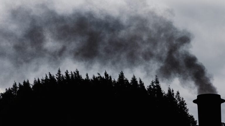 Dünya Meteoroloji Örgütü: Atmosferdeki karbondioksit seviyesi tarihin en yüksek noktasında