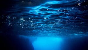 2 milyon sterlinlik dev proje: Yapay zeka ile hassas derin deniz yaşam alanları haritalanacak