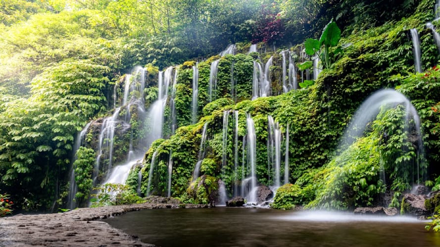 İngiltere’deki aktivistler doğaya yasal haklar vermek için yasa tasarısı başlattı