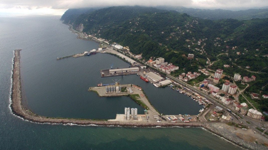 Doğu Karadeniz’in kirlilik karnesi: Hamsinin %40’ının çıkarıldığı limanlarda ağır metal birikimi