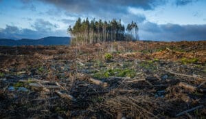 Avrupa Birliği’nden iklim hedeflerine “esnek” ayar: 2040 hedefi risk altında mı?