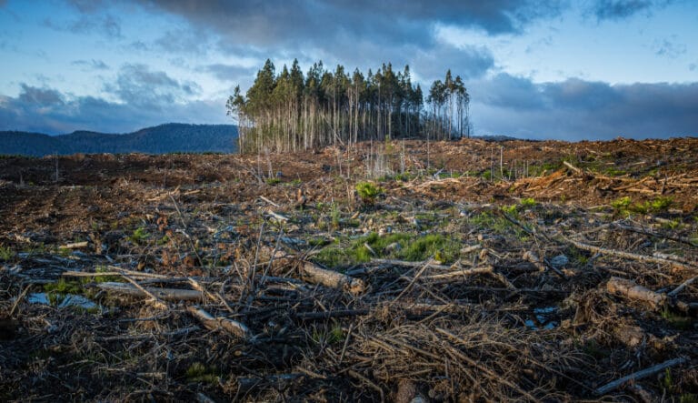 Avrupa Birliği’nden iklim hedeflerine “esnek” ayar: 2040 hedefi risk altında mı?