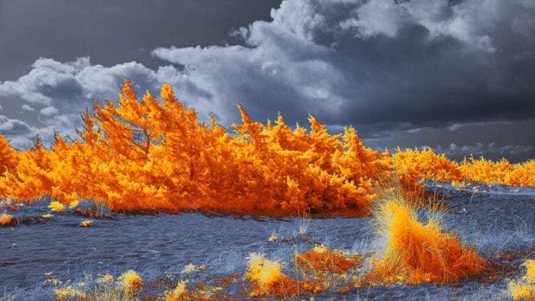 En yıkıcı yangınların yarısı son 10 yılda yaşandı