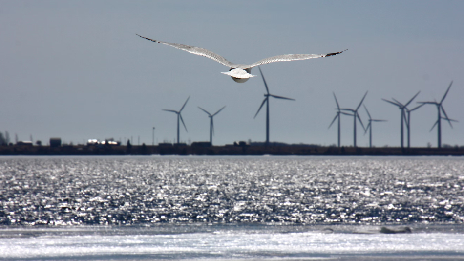 Deniz üstü rüzgar enerjisi kapasitesi 2030’a kadar 3 katına çıkacak, ABD’deki belirsizlik hızı kesmiyor