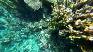 Geri dönüşü olmayan eşikler aşıldı: Bilim insanları COP30 öncesinde iklim dönüm noktalarının aşıldığı konusunda uyarıyor