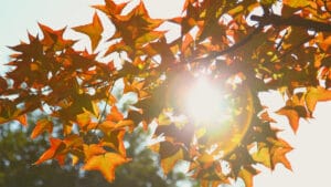 Eylül 2025, kayıtlardaki üçüncü en sıcak eylül oldu